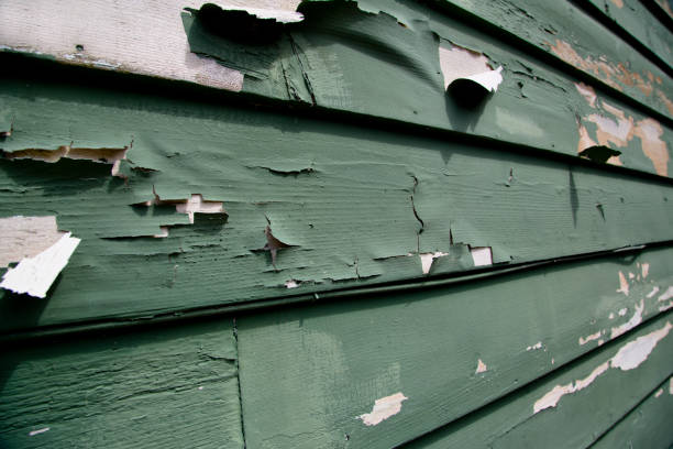 Best Demolition Debris Removal  in Rancho Murieta, CA